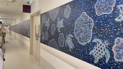 51 metres of turtle border installed last night at Fiona Stanley. Those who have visited the hospital would recall it as the camel corridor. Just one of the many murals we have been working on over the last two weeks | Wicked Walls
