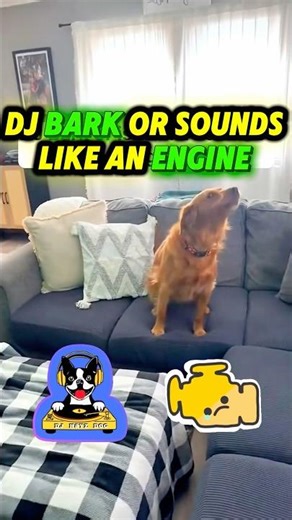 When Dogs Try to Talk 😂 | Funniest Dog Sounds Ever! #shorts