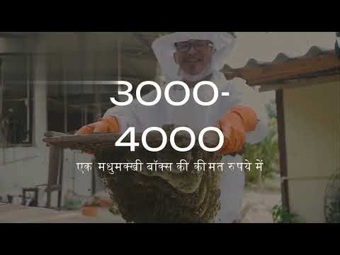 BEE FARMING BUSINESS PLAN