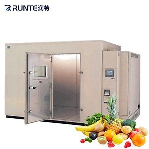 [Hot Item] Runte Brand Meat Seafood Use PU Sandwich Panel Emerson Brand Compressor Condensing Unit Freezing Room Cold Storage