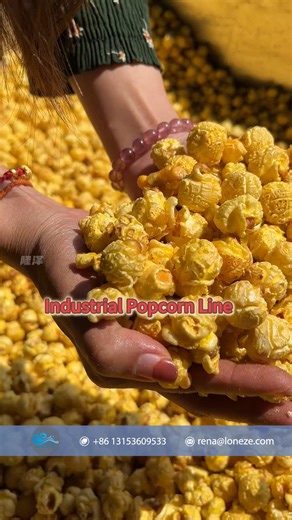 Factory Supply Popcorn Making Machine,Industrial Popcorn Machine,Automatic Popcorn Production Line Our popcorn machine can produce any flavored popcorn directly,no need for other flavor coating machine. We have different heating methods&capacities popcorn machine for your reference. We also support customization. Contact us for the quote: WeChat/WhatsApp: 86 13153609533 E-mail:rena@loneze.com Best regards, Rena #popcorn #POPCORNMACHINE #popcorn🍿 #snackmachine #caramelpopcorn #popcorncaramel #mu