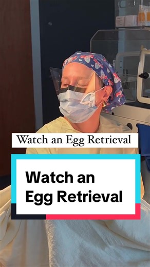 Egg Retrieval Process: Steps and Insights