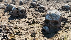 Time lapse from morning to evening. Human skulls scattered on the field of a past battle. War crimes, massacre on humanity. The concept of war and apocalypse.