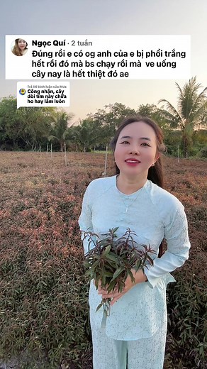 Cây Trị Bệnh Phổi: Chia Sẻ Kinh Nghiệm