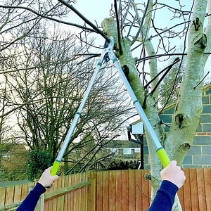 Best Loppers UK Reviews 2025 with Top 10 List