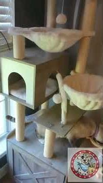 All-In-One Cat StationHey-brother Cat Tree with Litter Box Enclosure, Modern Cat Tower for Indoor Ca