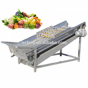 [Hot Item] Low Price Fruit and Vegetables Washing Machine