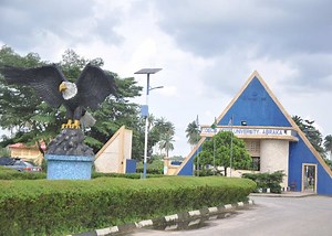 How to navigate DELSU portal for your admission and results