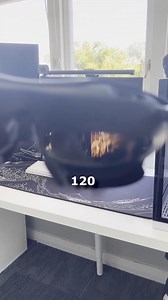 3.1K views · 57 reactions | Check it out, you might have missed a Rokid Max use case! 藍 #RokidMax #ARGlasses #Rokid | Rokid Global | Facebook