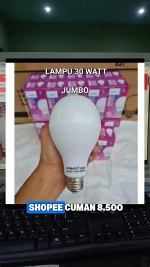 Jumbo 30 Watt LED Bulb Only 8,500