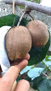 267K views · 206 reactions | The most satisfying moments ever #satisfying #satisfyingvideos #oddlysatisfying #oddlysatisfyingvideos #relaxingvideos #asmr #satisfyingvideo | Satisfying | Facebook