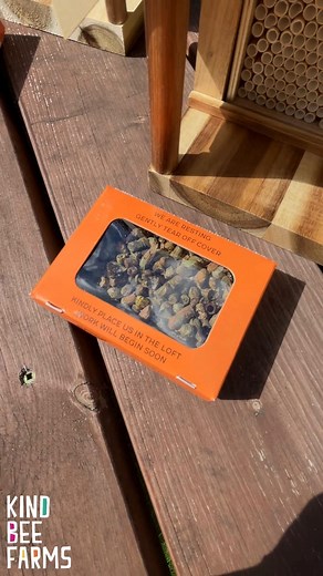 Have you ever seen a box of bees before? 🐝 Meet our leafcutter bees—the tiny, friendly pollinators that will bring your garden to life this spring! 🌸 Each box comes with over 200 bee cocoons, shipped at the start of their hatching cycle. Once they arrive, it typically takes up to 1-2 weeks for the bees to fully hatch, ready to get to work pollinating your garden. Add these little buzzing heroes to your backyard and watch them hop from flower to flower, spreading pollen and giving your garden a
