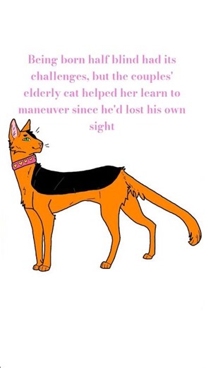 Another kitty! And maybe more lore? #warriorcats #oc #art #lore