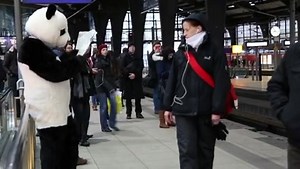 Der Panda ist in Berlin! Folgt ihm in die gemeinsame Panda-Ausstellung vom Museum für Naturkunde Berlin und uns. #pandasinberlin | WWF Deutschland