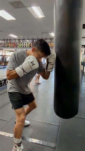 Hit N Move Vector Boxing Gloves | Heavy Bag