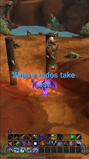Warcraft Horde Daily Decor Quest Where Kodos Take Rest in Under 1 Minute #worldofwarcraft #warcraft