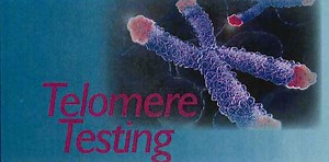 Enada NADH Extends Telomere Length - True Longevity Product - 64 Year Old Has Telomere Length of 33 Year Old .