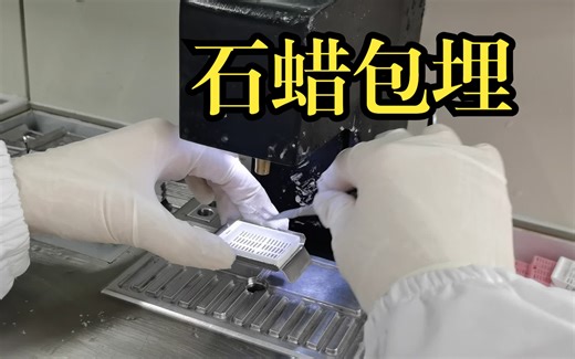 【石蜡包埋】实验操作详解+注意事项＆组织切片制作 |病理实验