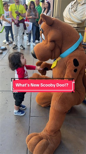 Scooby Doo Adventures at Universal Studios