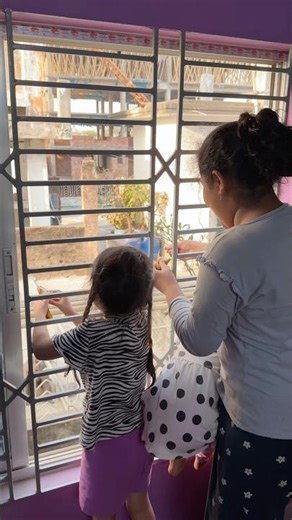 Part-1:Rooftop guest🐒Bedroom window surprise🐒 #monkey #reallifestory #shorts #familyfun