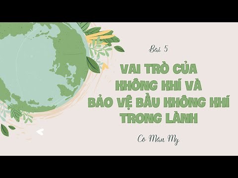 Bài 5. Vai trò của không khí và bảo vệ bầu không khí trong lành (p1) - KH4 - KNTTVCS - OLM.VN