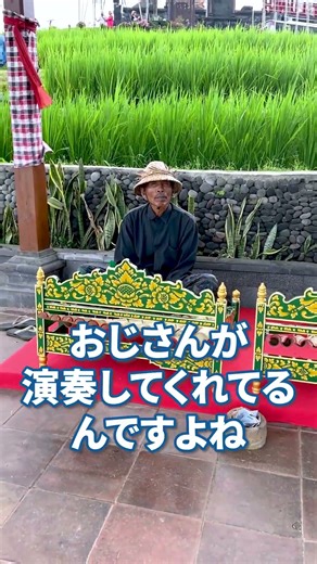 【番外編】バリ島農業視察～世界遺産の棚田～#脱サラ #農業起業 #休日 #バリ島 #ジャティルイ #ブルーベリーファームおかざき #観光農園 #ブルーベリー #shorts