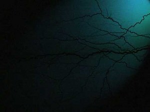 Parasense - Paranoia