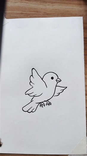 Easy Bird Drawing Step by Step for Beginners Tutorial