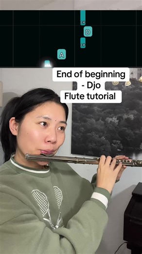 #endofbeginning #djo #flute #flutetutorial #cover | flute