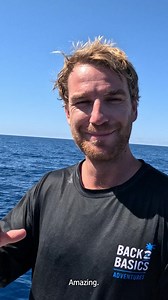 The Humpback whales migration 🐋 Hope everyone enjoyed the latest episode 🍿📺 | Strick & Fran