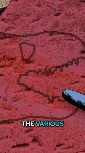 The Big PROBLEM With Evolution