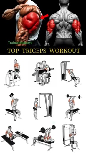 9 Best Tricep Exercises By Equipment#tricepsexercise #triceps