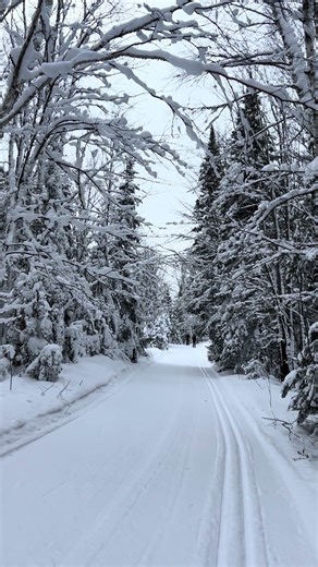 2026-01 Watching snow fall at Mecca Silent Sports Center in Mercer, Wisconsin.