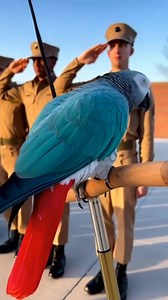 Raise your hand properly 🤣 #aivideocreation #AIFamily | Ameh Victoria Succes