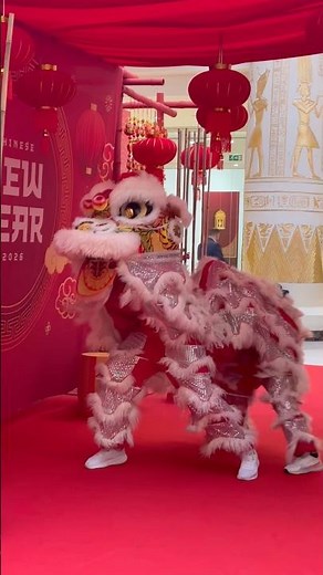 Dragon Dance Show 🐉 | Chinese New Year Celebration 2026 🎆 #Shorts #ChineseNewYear