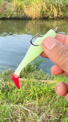 Recommended Lures and Setup Techniques👍👍 #fishing #fishingtips #angler #bassfishing