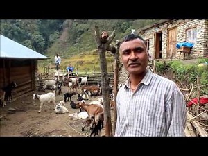 Nepali Youth in Goat Farming Part 1
