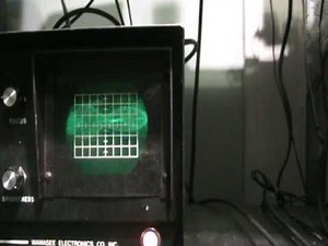 Tram Corsair rare SSB mobile w/ Collins Filter