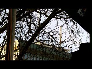 ROLLEI MOVIELINE SD230 - Full HD Test 2012