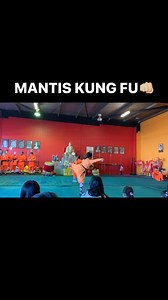 MANTIS KUNG FU! One of the most famous styles of Chinese Martial Arts both in the Martial world and in Pop Culture! Great work by @bduffyfan2015 and Sandy at our recent Open Day! #武术 #少林 #功夫 #武 #武术少林 #少林功夫 #少林武术 #wushu #shaolin #kungfu #gongfu #shaolinwushu #shaolinkungfu #fitness #fitspo #selfdefense #mma #china #australia #Queensland #wingchun #mansfield #brisbane #shaolinkungfuguan #shaolintemple #gym #donnieyen #prayingmantis #mantiskungfu | Shaolin Kung Fu Guan