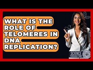 What Is The Role Of Telomeres In DNA Replication? - Science Through Time