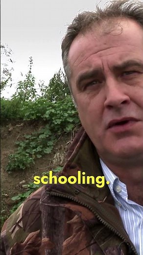 Maintaining Gypsy Traditions