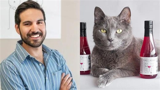 Apollo Peak update: What happened to Brandon Zavala's business after Shark Tank?