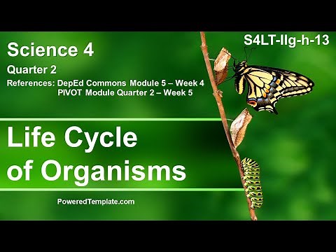 GRADE 4 SCIENCE QUARTER 2 – Weeks 4 & 5 │ Life Cycle of Organism │ DepEd Commons & PIVOT Module