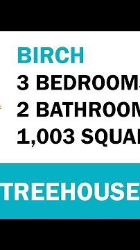 Birch at Treehouse Apartments | Apartment Virtual Tour | GSC Apartments