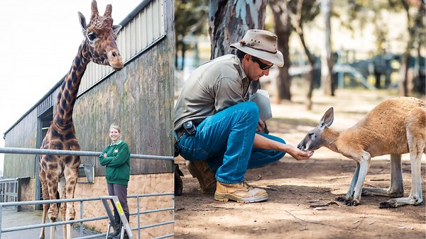 A Warm and Wonderful Time Spent with Animals