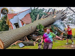 Idiots With Chainsaws: Tree Cutting Fails | Extreme Dangerous Logging Truck Fails #1