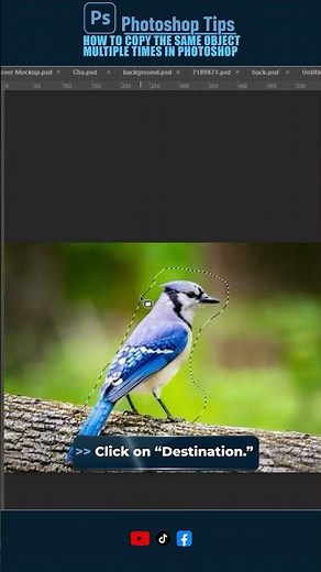 How to Copy the Same Object Multiple Times in Photoshop