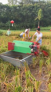 Rice thresher with boat ,working at water or muddy fields | Mini Rice Mill Machine