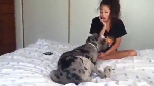 Chica cogida por un perro